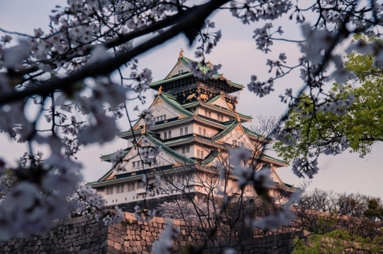 Lâu đài Osaka chứng tích lịch sử "Một nước Nhật thống nhất"