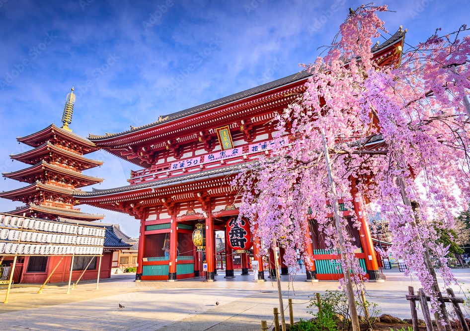 NHẬT BẢN 5N5Đ | NARITA – TOKYO – YAMANASHI – NAGOYA – KYOTO – OSAKA – KANSAI