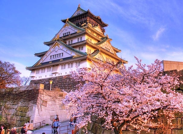 NHẬT BẢN MÙA HOA ANH ĐÀO 5N5Đ | OSAKA – NARA – KYOTO – NAGOYA – YAMANASHI – TOKYO