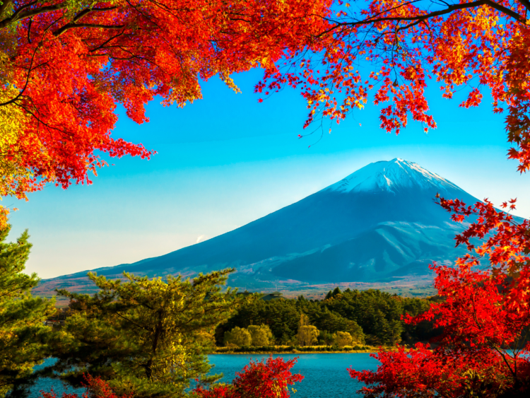 Ảnh Vẻ Đẹp Trữ Tình Của Núi Phú Sĩ Trong Mùa Thu