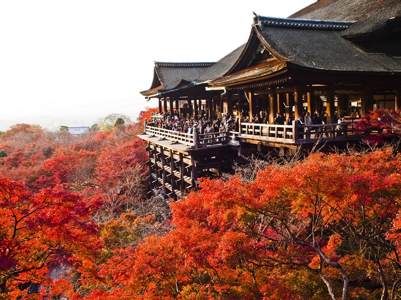 NHẬT BẢN MÙA THU 5N5Đ | OSAKA – NARA – KYOTO – NAGOYA – YAMANASHI – TOKYO