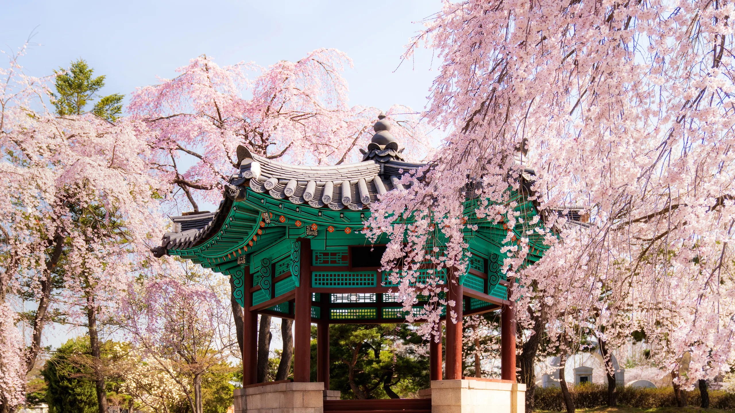HÀN QUỐC 4N4Đ | SEOUL – NAMI – EVERLAND|LỬA VIỆT TOURS - DU LỊCH VIỆT NAM - DU LỊCH AN TOÀN