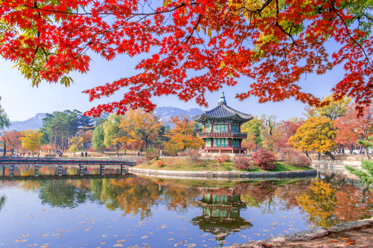 HÀN QUỐC 5N4Đ | SEOUL – NAMI – EVERLAND