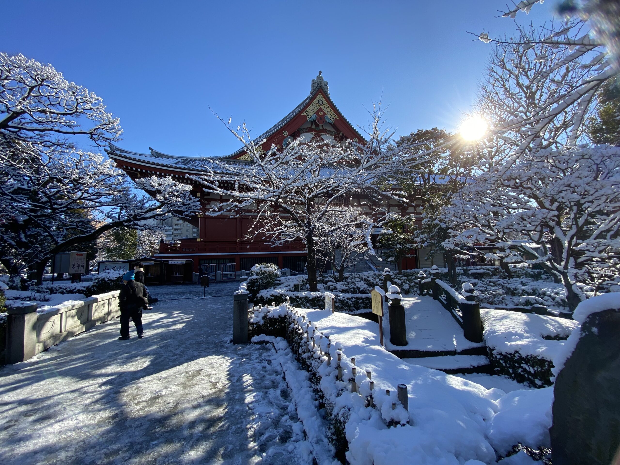 NHẬT BẢN MÙA ĐÔNG 5N5Đ | NARITA – TOKYO – YAMANASHI – NAGOYA – KYOTO – OSAKA