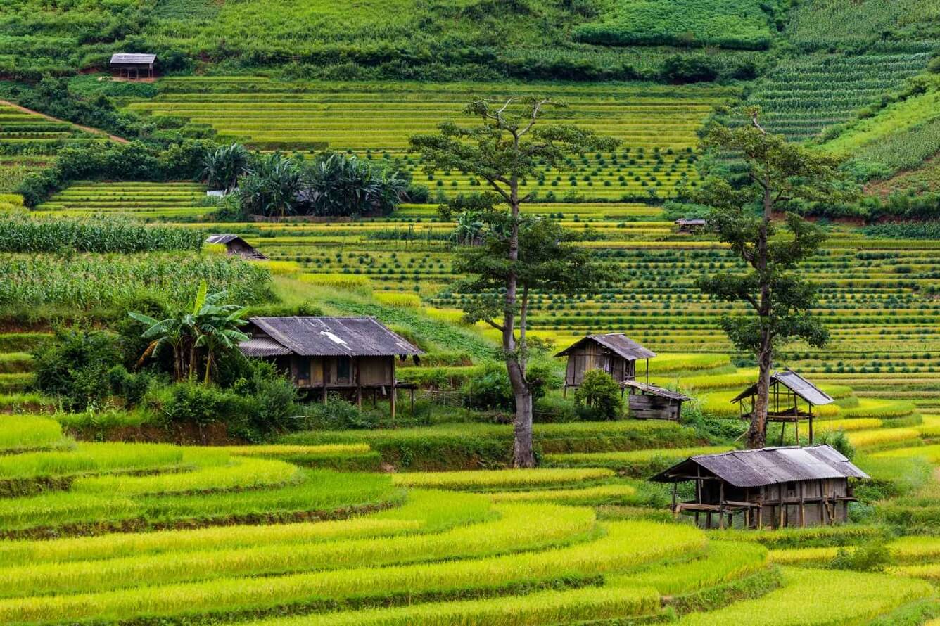 KHÁM PHÁ TÂY BẮC 4N3Đ | MỘC CHÂU – MAI CHÂU – HÒA BÌNH