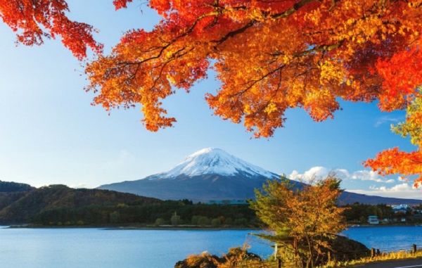 Khung cảnh núi Phú Sĩ vào mùa thu Nhật Bản