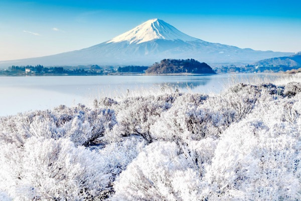 Cảnh vật trắng xóa được bao phủ bởi tuyết dưới chân núi Phú Sĩ