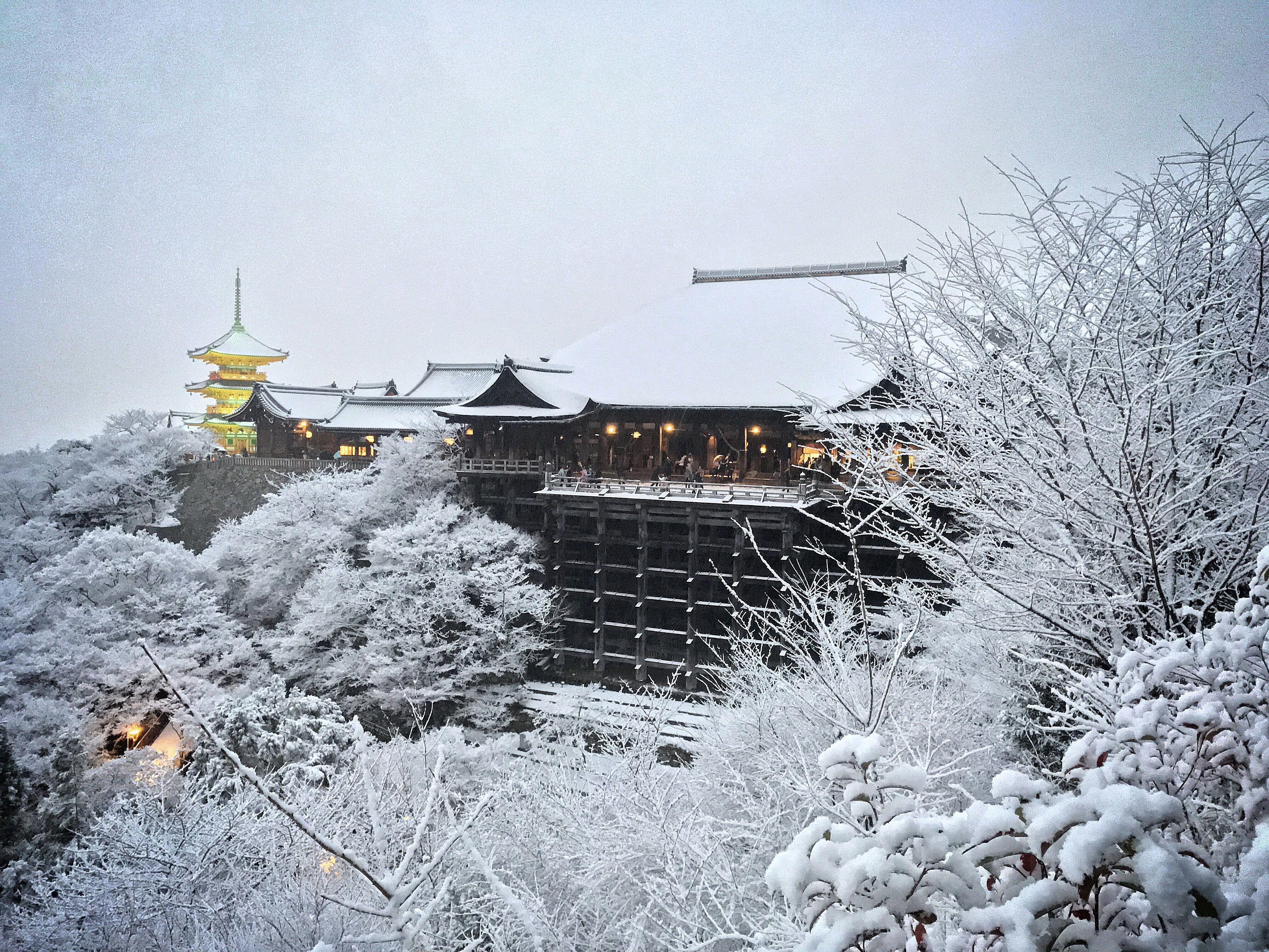 NHẬT BẢN RỰC RỠ SẮC HOA 6N5Đ | KOBE – OSAKA – KYOTO – NAGOYA – PHÚ SĨ – TOKYO (NO SHOPPING)