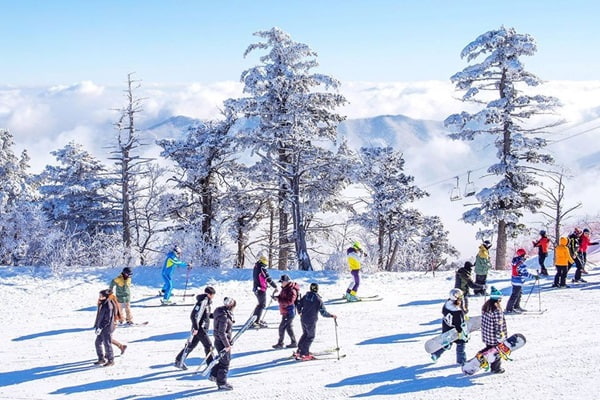 Một số kinh nghiệm cần biết để có được trải nghiệm trượt tuyết Hàn Quốc tốt nhất