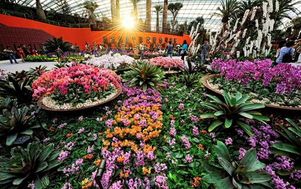 Thiên đường hoa hòa cùng lối kiến trúc đầy ấn tượng tại lễ hội vạn hoa Garden by the Bay
