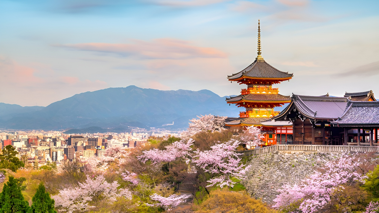 MÙA HOA ANH ĐÀO NHẬT BẢN 5N5Đ | NARITA – TOKYO – YAMANASHI – NAGOYA – KYOTO – OSAKA