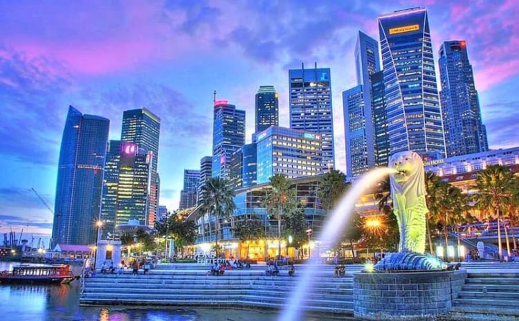 Công viên Sư tử biển là một trong những điểm đến nổi bật khi đến Singapore