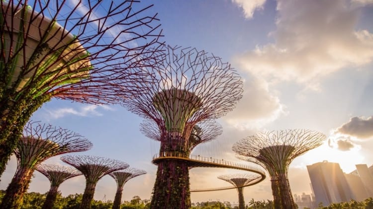 Garden by the Bay nổi tiếng với kiến trúc độc đáo