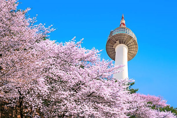 Tháp Namsan biểu tượng du lịch tại Hàn Quốc thu hút khách du lịch