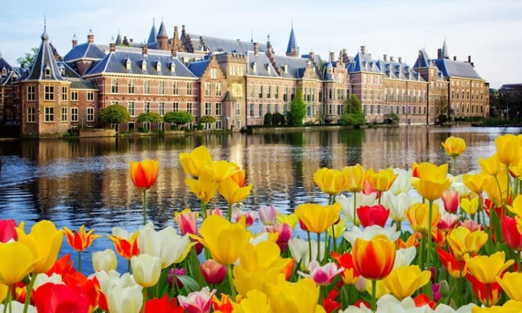 Hà Lan nổi tiếng với những cánh đồng hoa tulip đầy màu sắc mỗi khi xuân đến