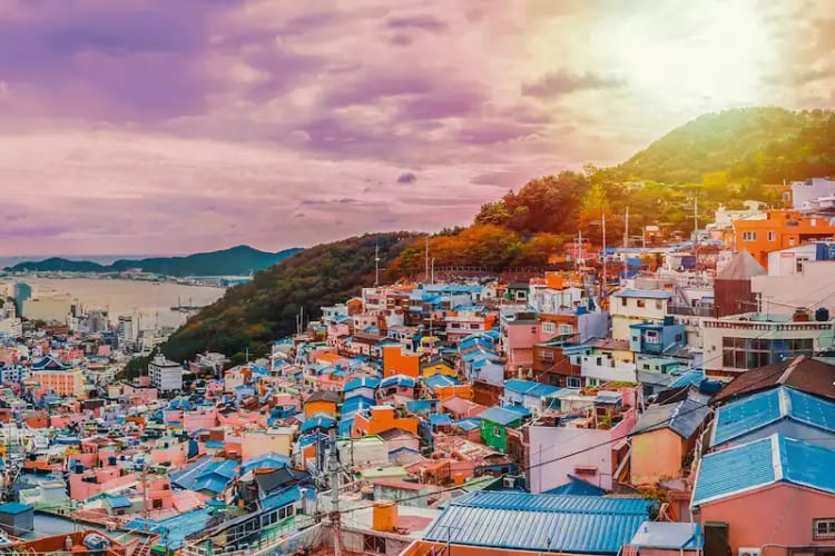 Những ngôi nhà đầy sắc màu tạo nên khung cảnh đầy lãng mạn tại thành phố Busan