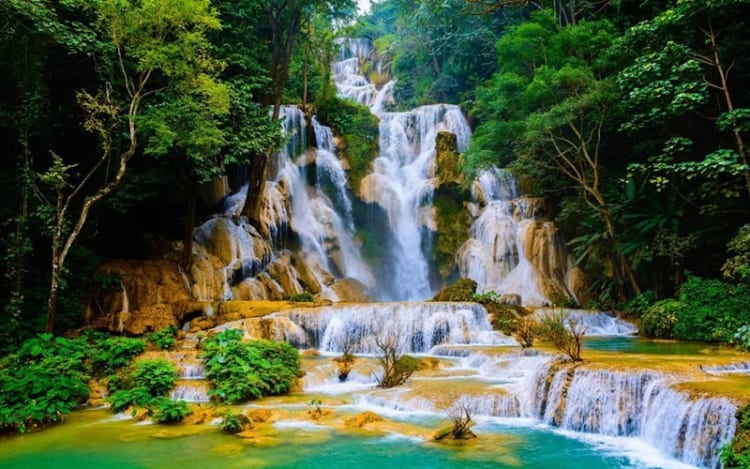 Khung cảnh nên thơ với dòng nước xanh mát và tiếng chim hót líu lo tại thác Kuang Si