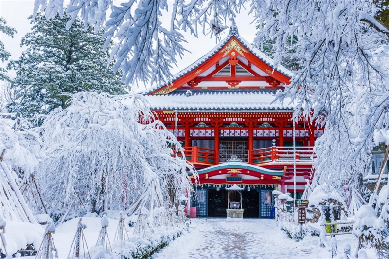 NHẬT BẢN MÙA ĐÔNG 5N5Đ | OSAKA – KOBE – KYOTO – NAGOYA – YAMANASHI – TOKYO