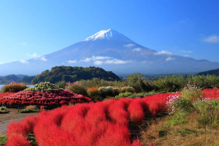 NHẬT BẢN 6N5Đ | TOKYO – PHÚ SĨ – KYOTO – OSAKA
