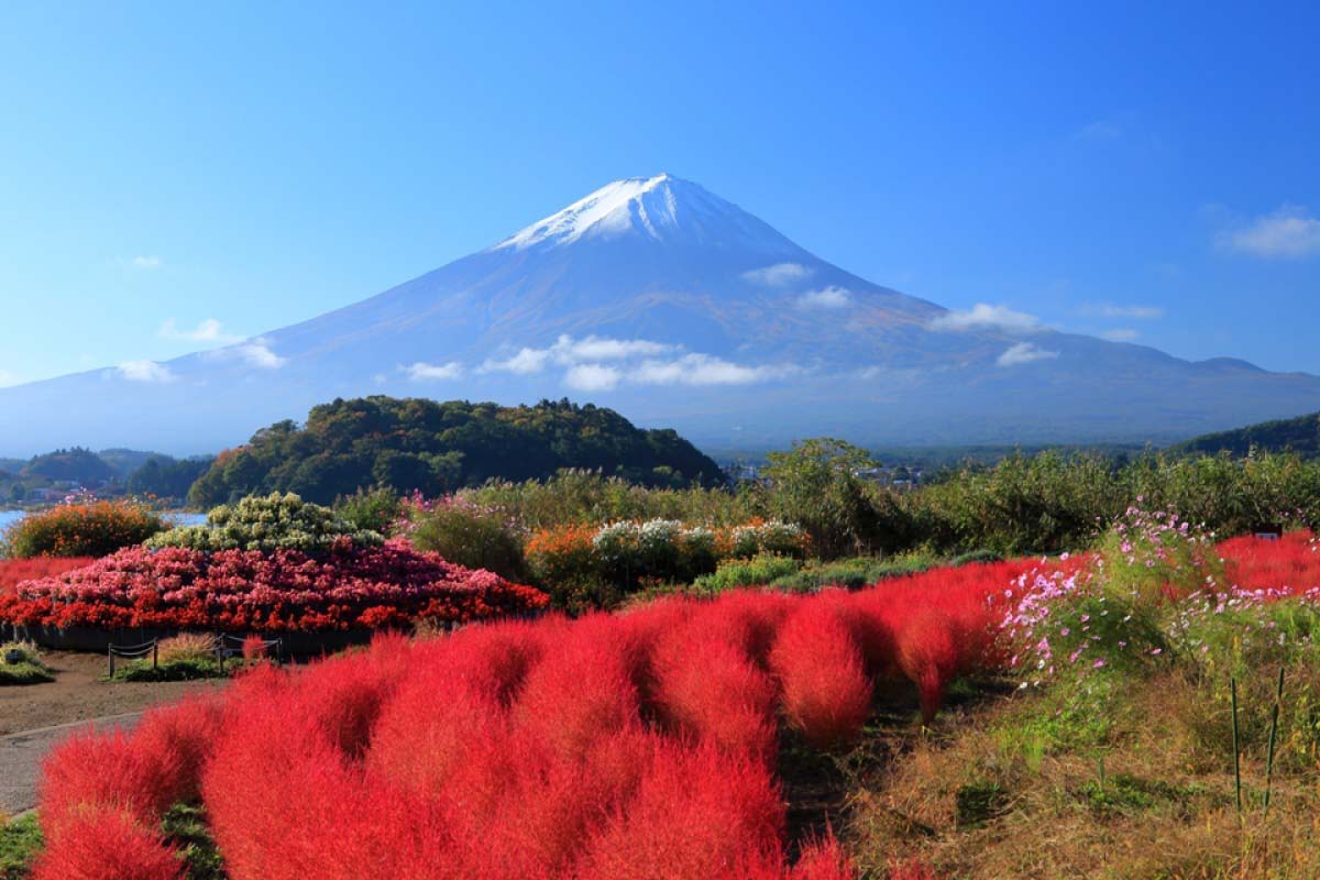 NHẬT BẢN 6N5Đ | TOKYO – PHÚ SĨ – KYOTO – OSAKA