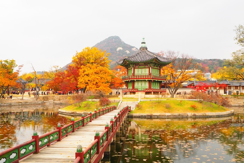 HÀN QUỐC 5N4Đ | SEOUL – NAMI – EVERLAND