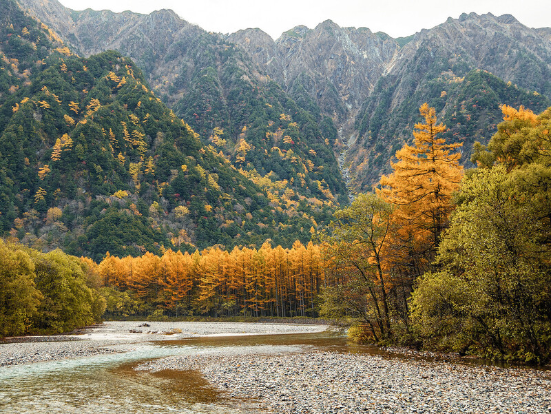 thung lũng kamikochi với rừng liễu chuyển màu vàng vào mùa thu nhật bản