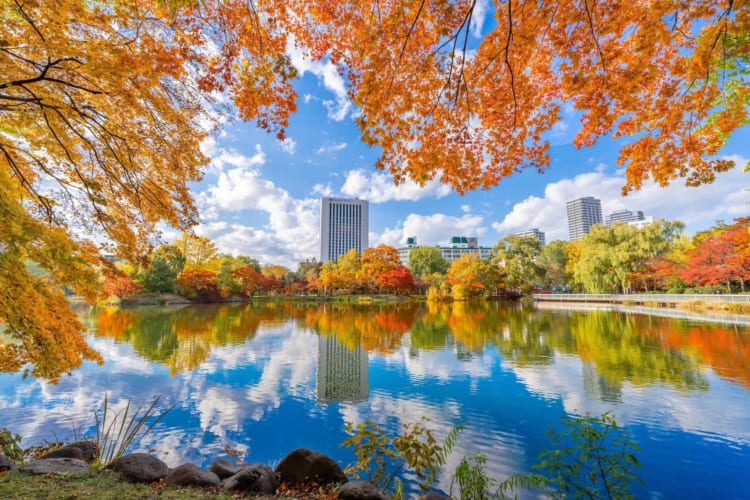 NHẬT BẢN 7N6Đ | AOMORI – HIROSAKI – HAKODATE – SAPPORO