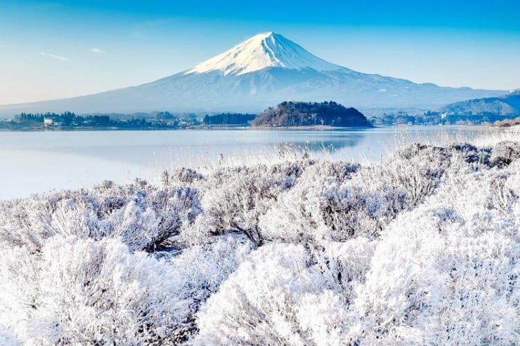 NHẬT BẢN MÙA ĐÔNG 5N5Đ | OSAKA – KOBE – KYOTO – NAGOYA – YAMANASHI – TOKYO