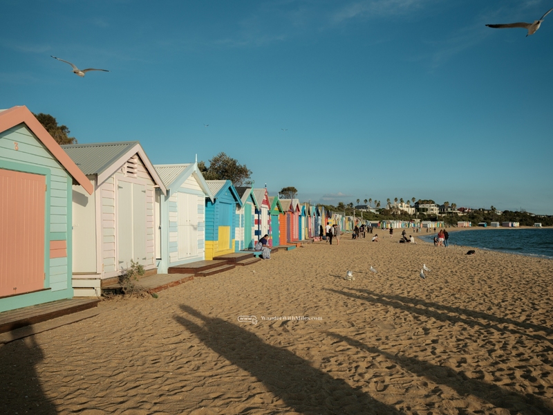 ÚC 7N6Đ | MELBOURNE – SYDNEY