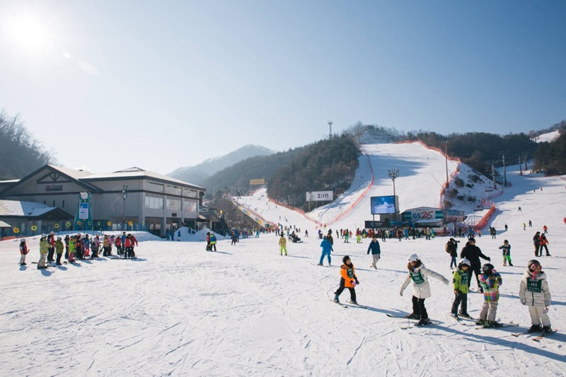 HÀN QUỐC MÙA ĐÔNG 4N4Đ | SEOUL – NAMI – LOTTE WORLD
