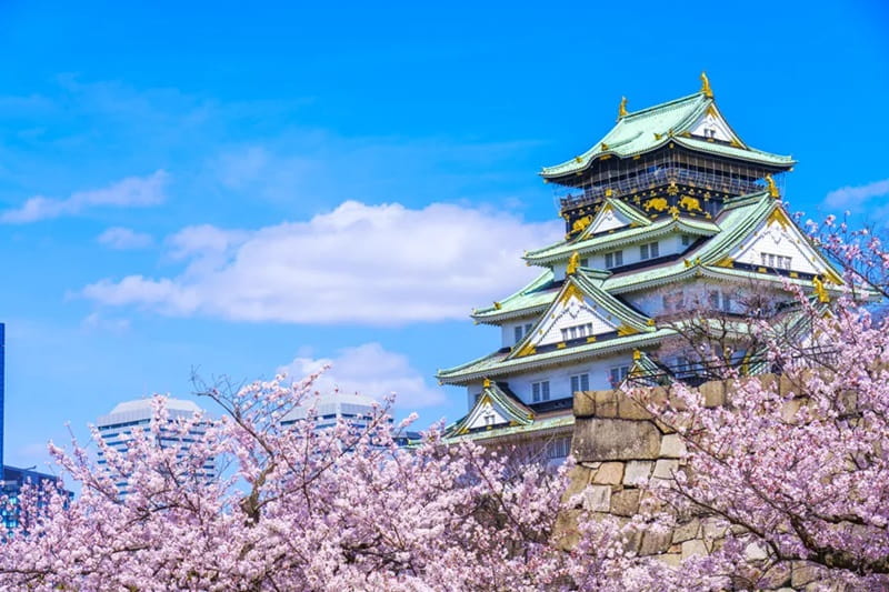 NHẬT BẢN HOA ANH ĐÀO 5N5Đ | OSAKA – NARA – KYOTO – NAGOYA – YAMANASHI – TOKYO – NARITA