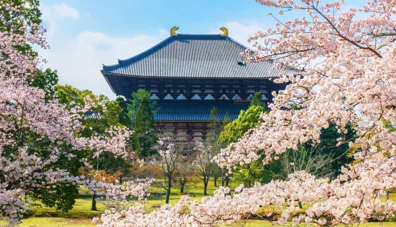 NHẬT BẢN MÙA HÈ 5N5Đ | OSAKA – KOBE – KYOTO – NAGOYA – YAMANASHI – TOKYO
