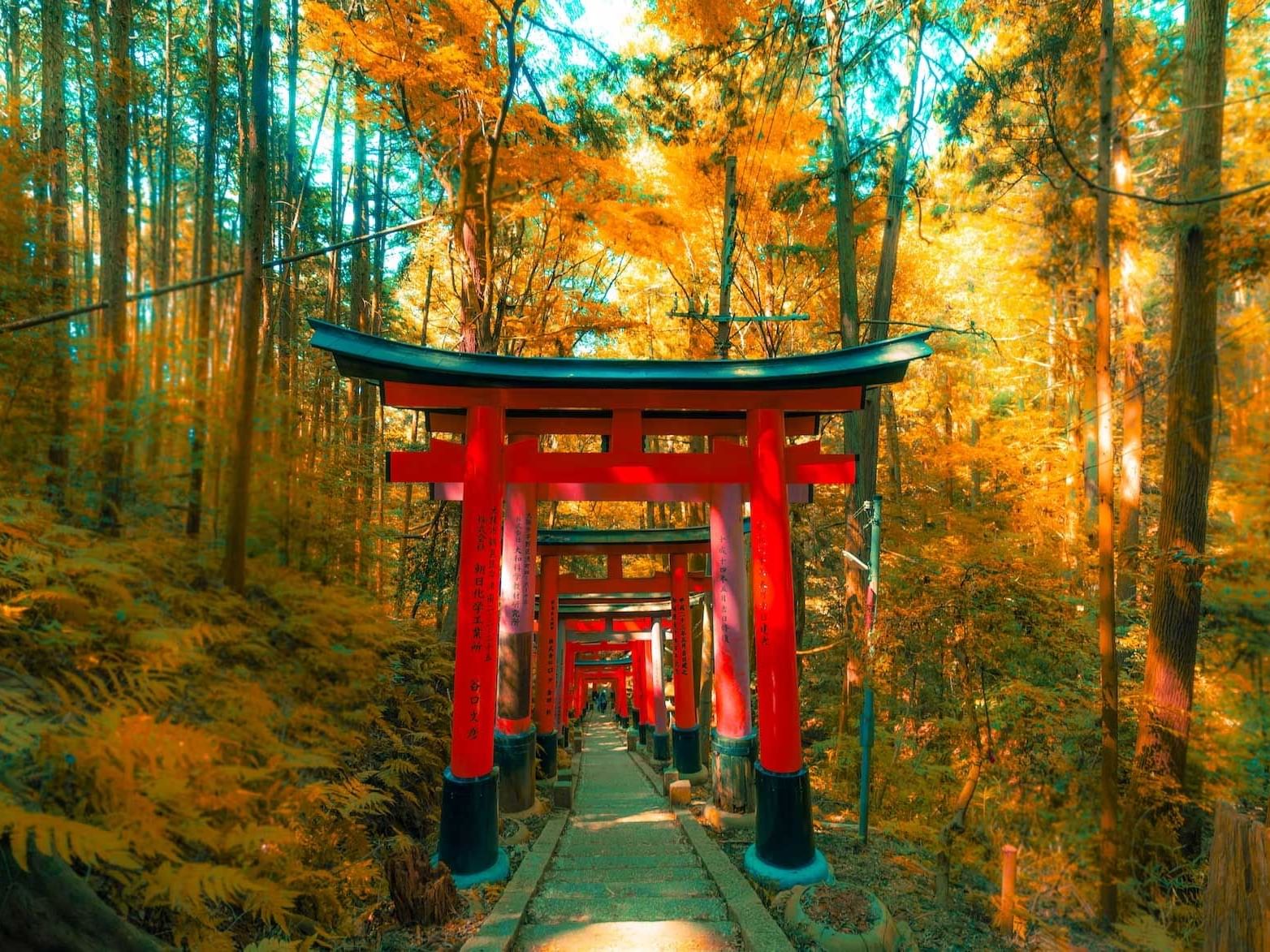 NHẬT BẢN MÙA THU 5N5Đ | OSAKA – NARA – KYOTO – NAGOYA – YAMANASHI – TOKYO