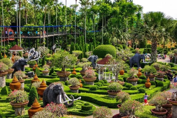 Các tác phẩm bonsai đầy tỉ mỉ với nhiều hình khối khác nhau 