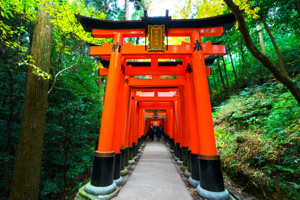 NHẬT BẢN MÙA HÈ 5N5Đ | OSAKA – NARA – KYOTO – NAGOYA – YAMANASHI – TOKYO