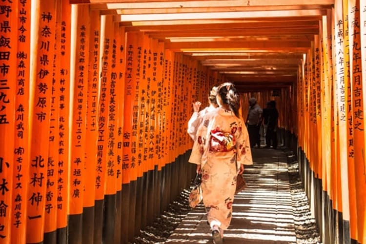 Du khách nên đến đây vào sáng sớm để khám phá để cảm nhận rõ nét cảnh quan nơi đây
