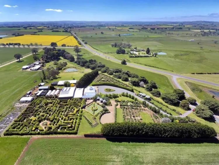 Khu vườn Tangled Maze Ballarat đầy xanh mát với nhiều hoạt động thú vị