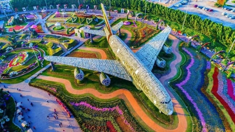Miracle Garden với hàng triệu bông hoa khoe sắc đầy thu hút