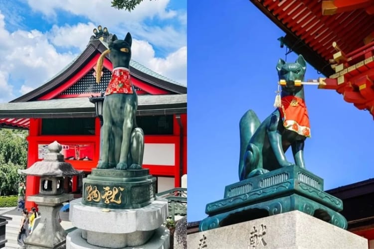 Cáo - sứ giả của thần Inari tượng trưng cho nhiều ý nghĩa khác nhau 