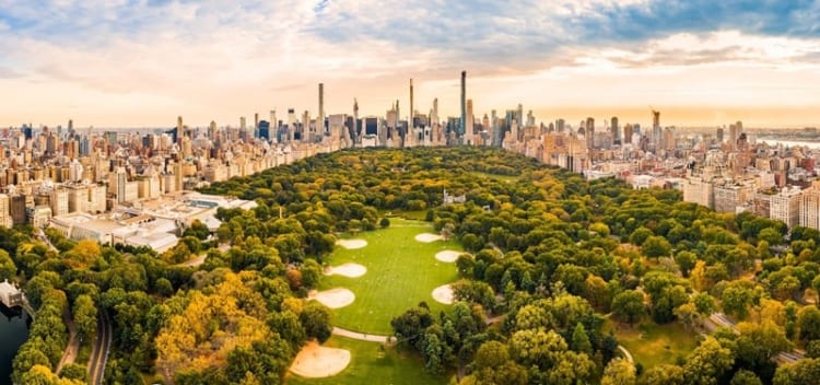 Central Park với không gian xanh mát đầy yên bình 