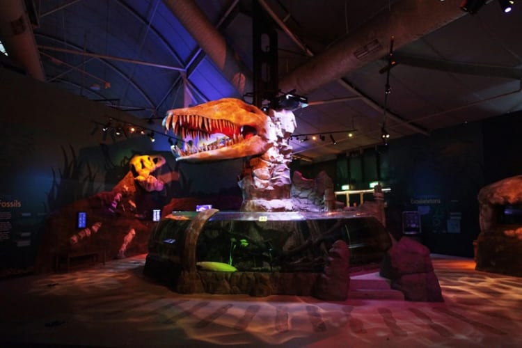 Jurassic Seas đầy kì bí với những hóa thạch sống