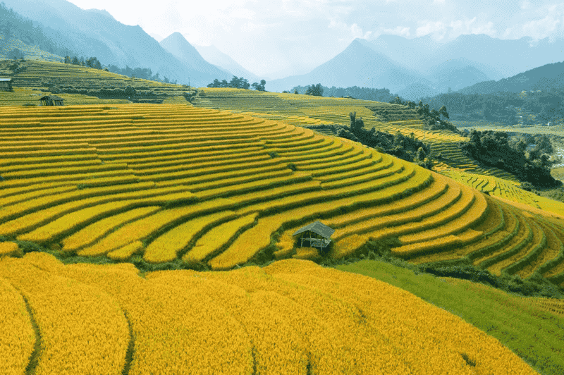 KHÁM PHÁ MIỀN BẮC 4N3Đ | HÀ NỘI – HÀ GIANG – ĐỒNG VĂN – SAPA
