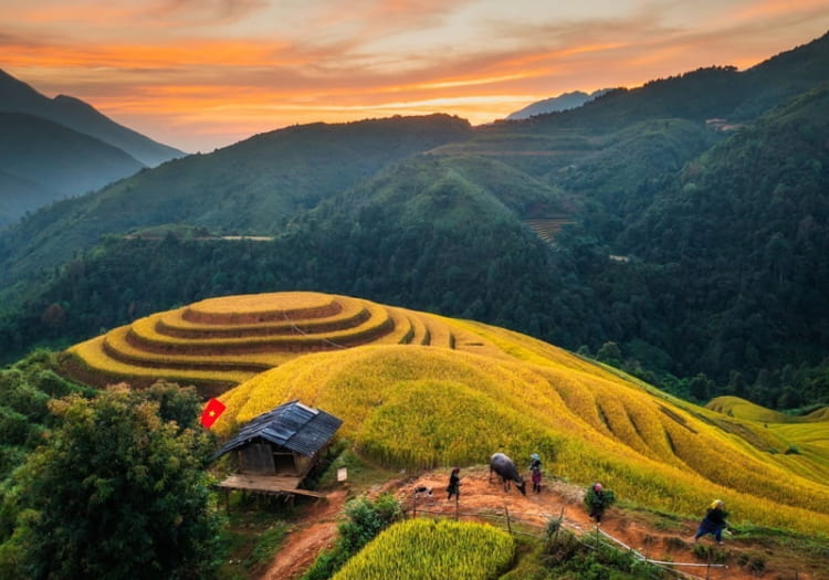 Mù Cang Chải nổi bật với những thửa ruộng bậc thang trải dài đến tận chân trời