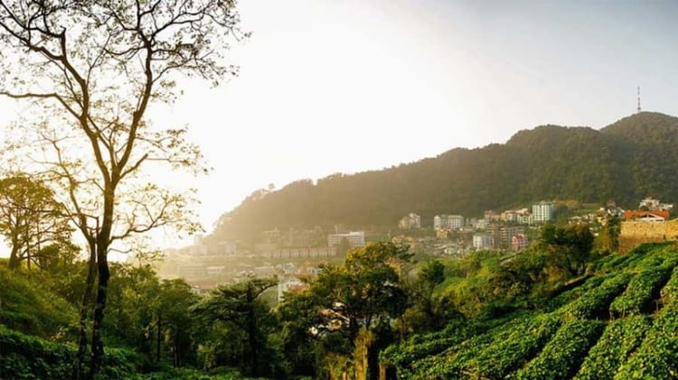 Thời tiết Tam Đảo mùa thu đầy dễ chịu thu hút mọi du khách