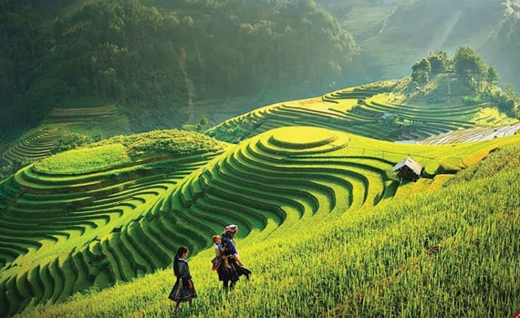 Đồi Mâm Xôi - biểu tượng đầy nổi bật của vùng núi Tây Bắc