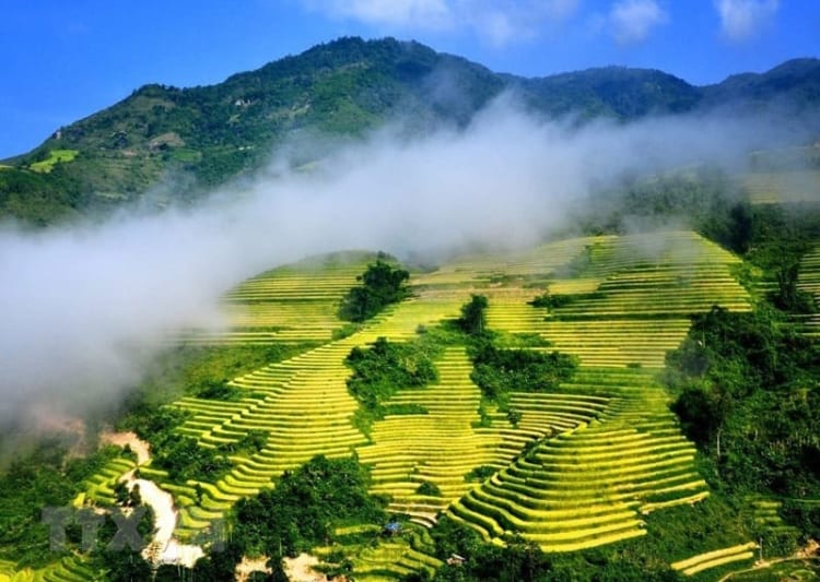 Sapa mới vẻ đẹp đầy lãng mạn hòa cùng mây mù giăng lối 