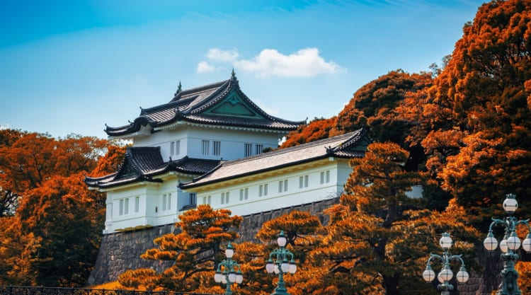 MÙA THU NHẬT BẢN | TOKYO – YAMANASHI – NAGOYA KYOTO – OSAKA – KANSAI
