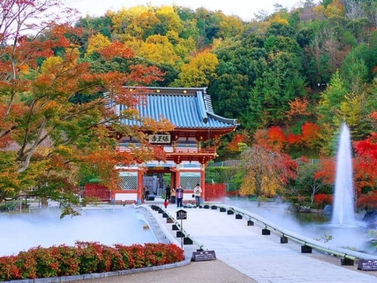 Khung cảnh đầy yên bình khó tìm thấy ở bất kì đâu