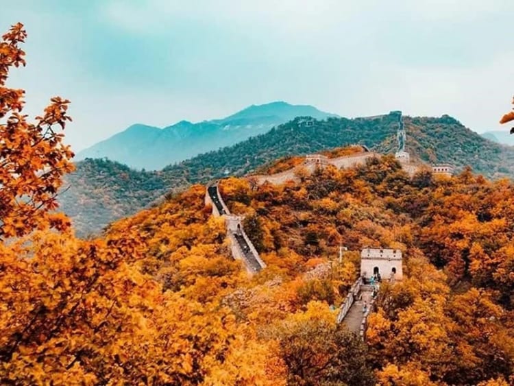Vạn Lý Trường Thành đắm chìm trong sắc thu đầy mê hoặc 