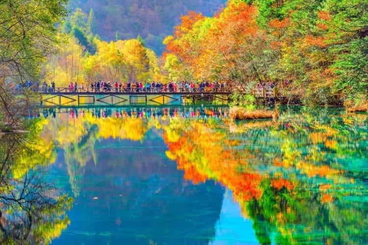 Cửu Trại Câu “thiên đường nhân gian” không thể bỏ lỡ